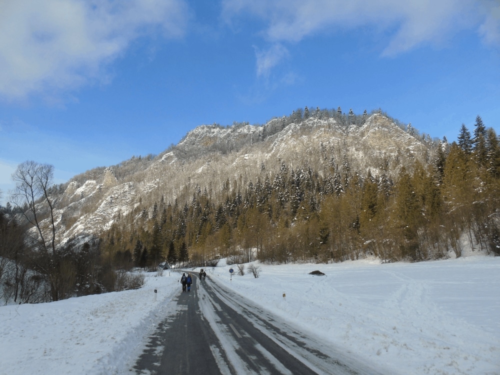 Okładka albumu - 29.01.2023 Pieniny