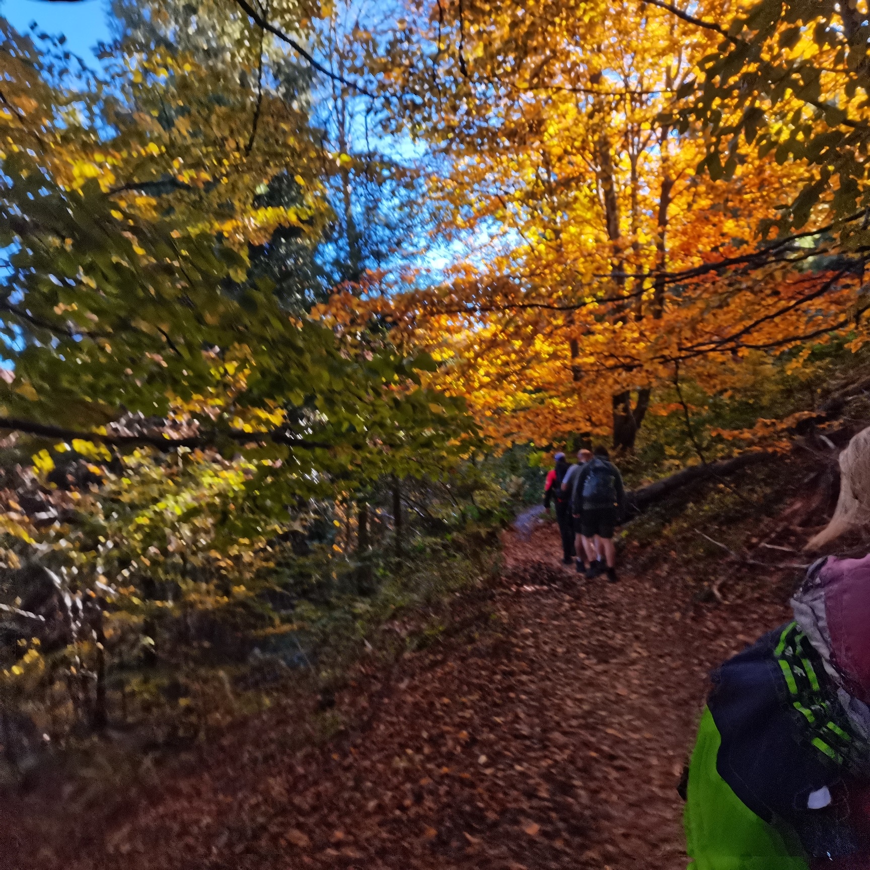 Okładka albumu - Bieszczady 19-20.10.2024r.