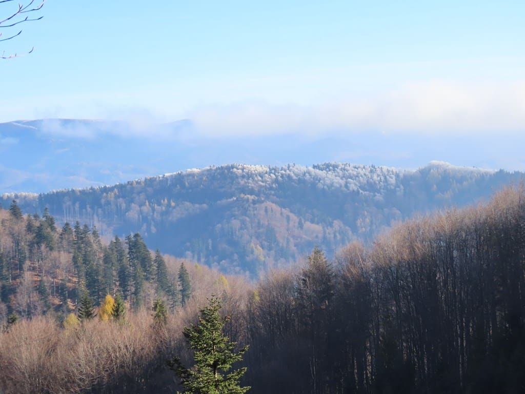 Okładka albumu - Beskid Sądecki – Podsumowanie sezonu 17.11.2024r.