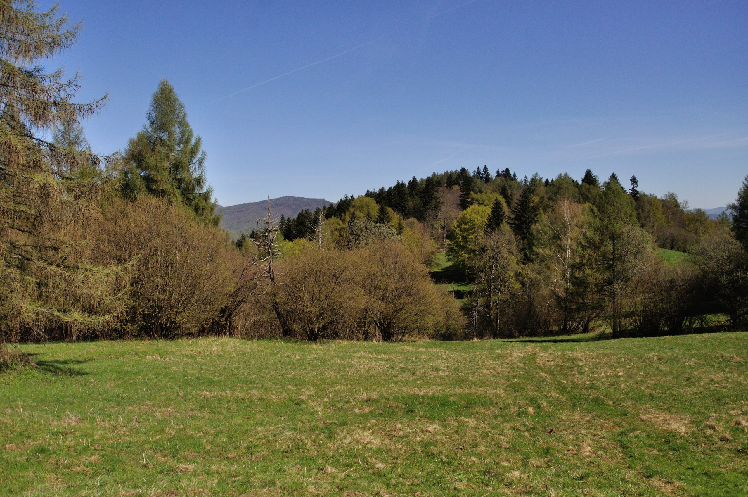 Okładka albumu - Lewockie Wierchy 27.04.25r.