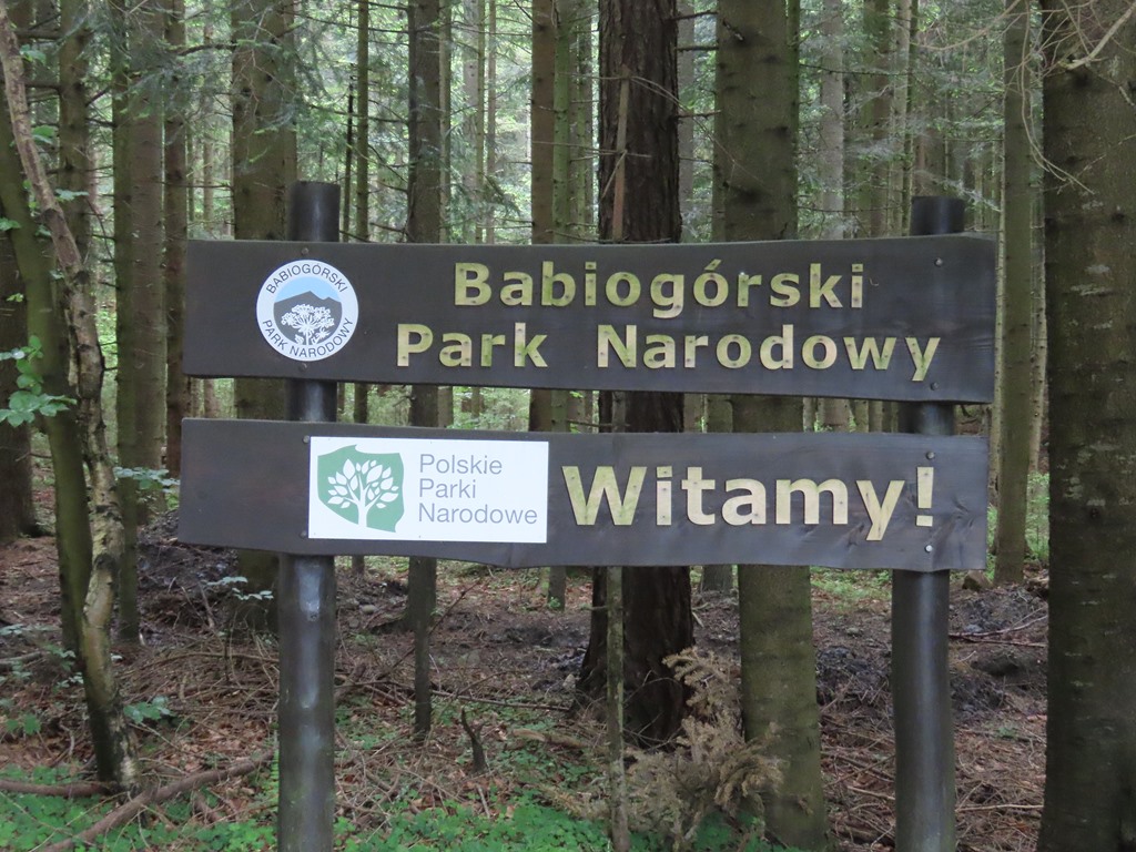 Okładka albumu - Babia Góra 08.06.2025r.