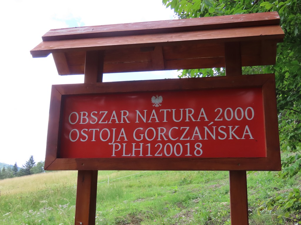 Okładka albumu - Gorc 03.08.2025r.