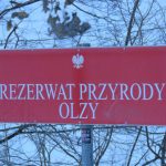 Rezerwat Przyrody "Olzy" Rudawka Rymanowska