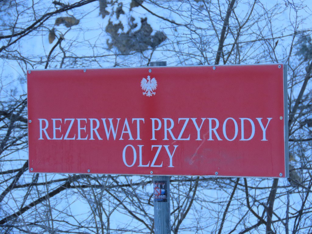 Okładka albumu - Rezerwat Przyrody „Olzy” Rudawka Rymanowska