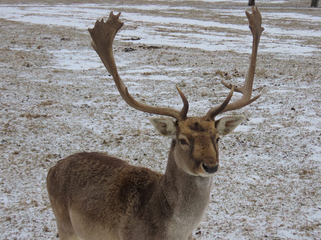 Okładka albumu - Ostra Góra 01.02.2026r.