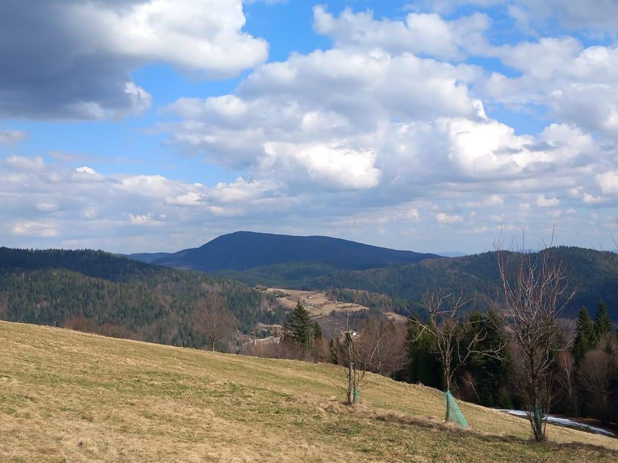 Okładka albumu - Study Tour – Szczawa