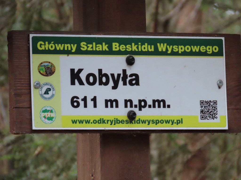 Okładka albumu - Beskid Wyspowy Kobyła 01.03.2026r.