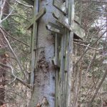 Gorce - Twarogi 08.03.2026r.