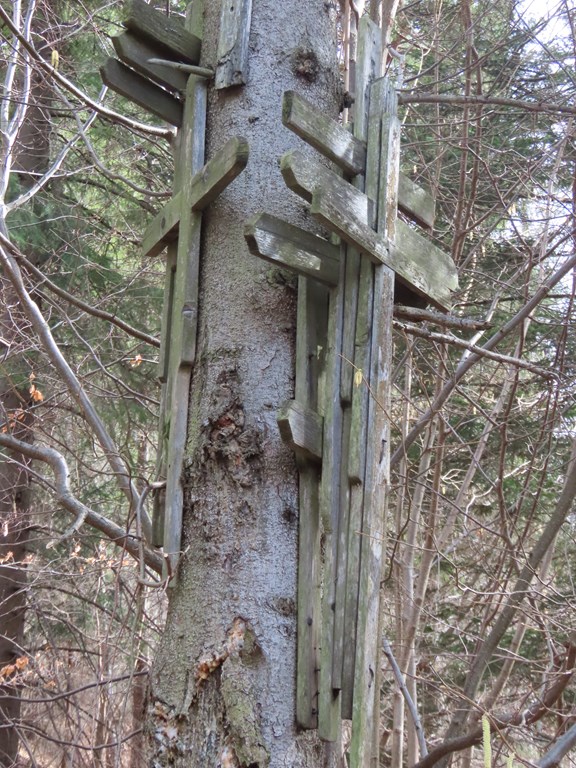 Okładka albumu - Gorce – Twarogi 08.03.2026r.