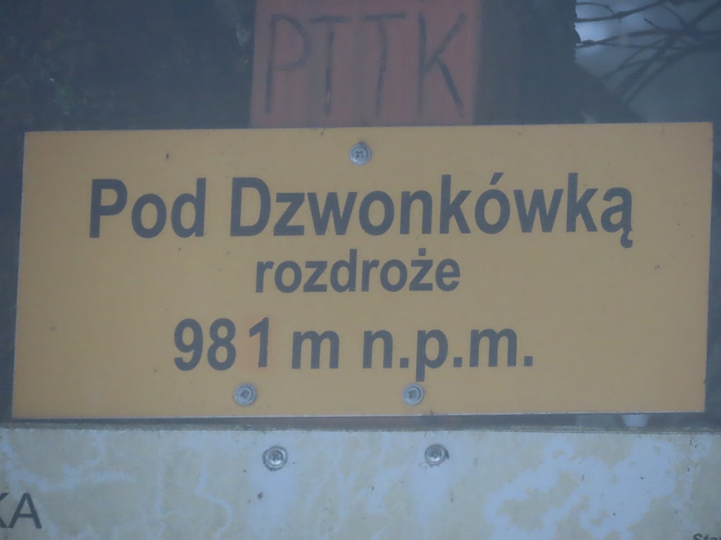 Okładka albumu - Dzwonkówka 29.03.26