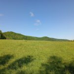 Kolanin 10.05.2026r.
