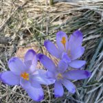 Wiosna w Tatrach 4.05.2026r.