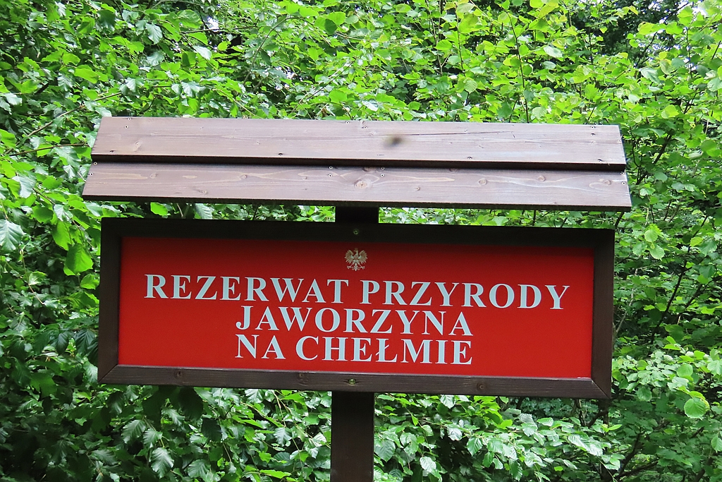 Okładka albumu - Beskid Niski – Chełm 14.06.2026r.
