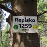 Magura Orawska - Repisko 1259 m n.p.m