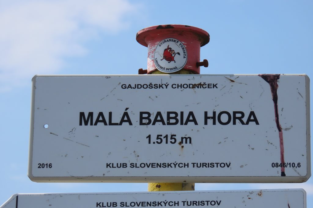 Okładka albumu - Mała Babia Góra 26.07.2026r.
