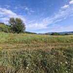 Cergov 30.08.26