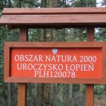 Beskid Wyspowy Łopień 961m n.p.m.