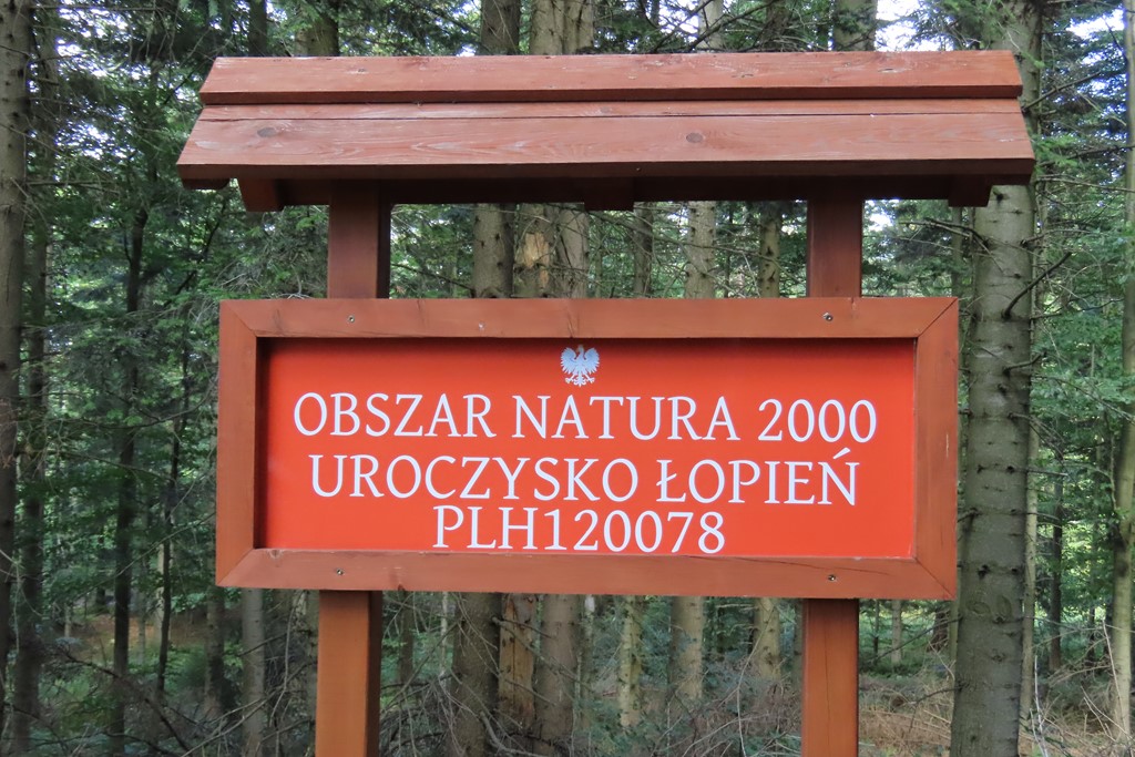 Okładka albumu - Beskid Wyspowy Łopień 961m n.p.m.