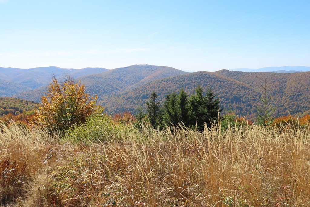 Okładka albumu - Bieszczady 3-4.10.26r.